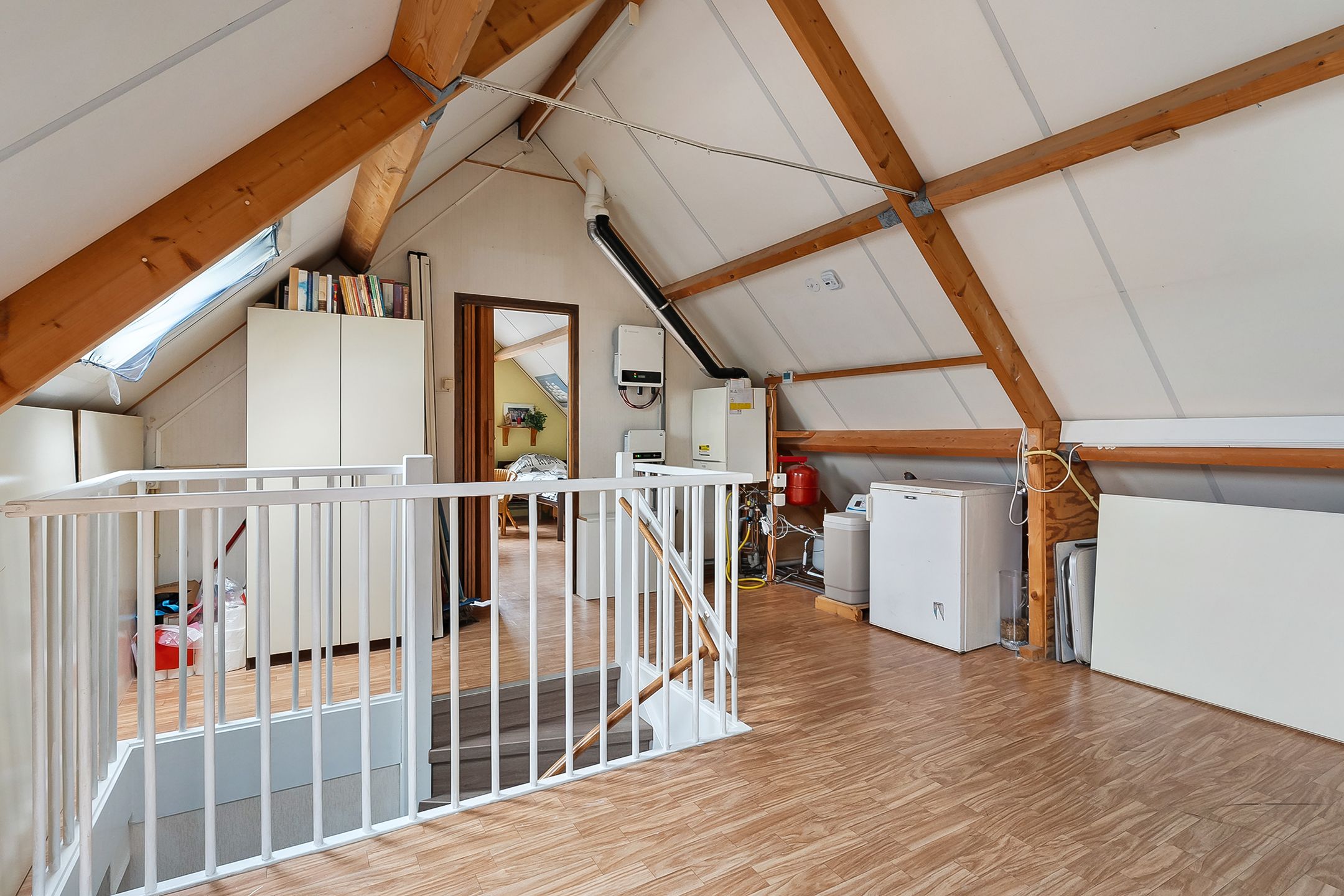 Foto 24 van Citroenvlinder 11