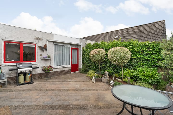 Foto 25 van Citroenvlinder 11