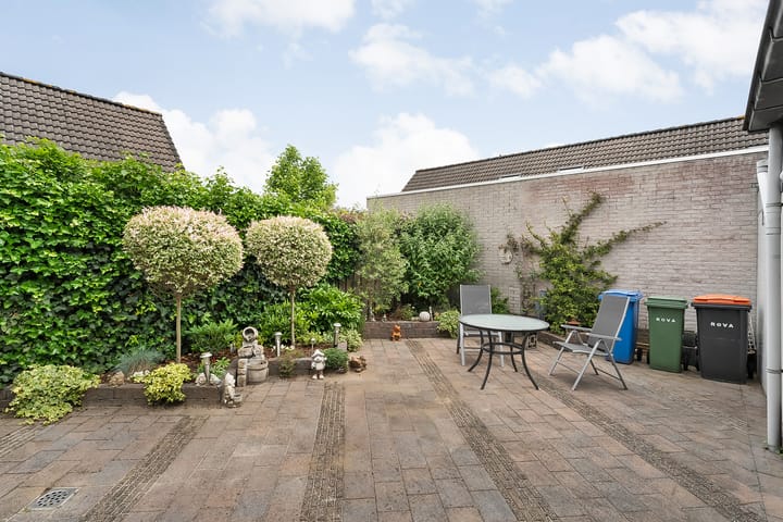 Foto 26 van Citroenvlinder 11