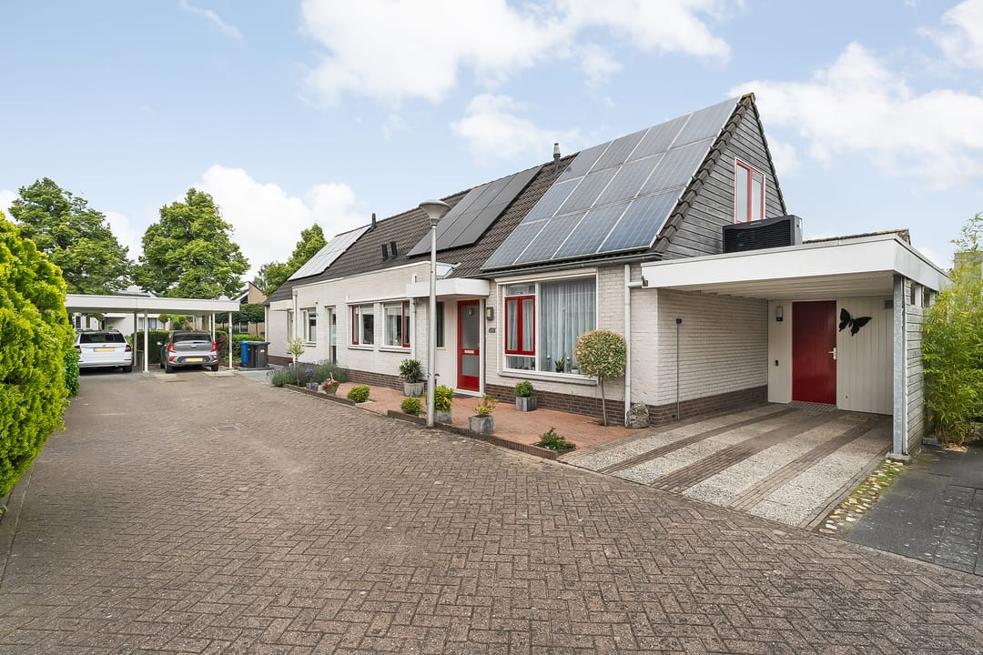 Foto 28 van Citroenvlinder 11