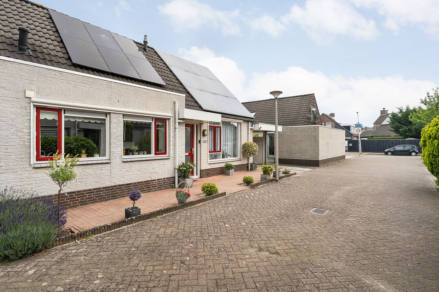 Foto 29 van Citroenvlinder 11