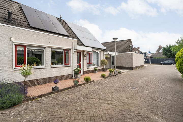 Foto 29 van Citroenvlinder 11