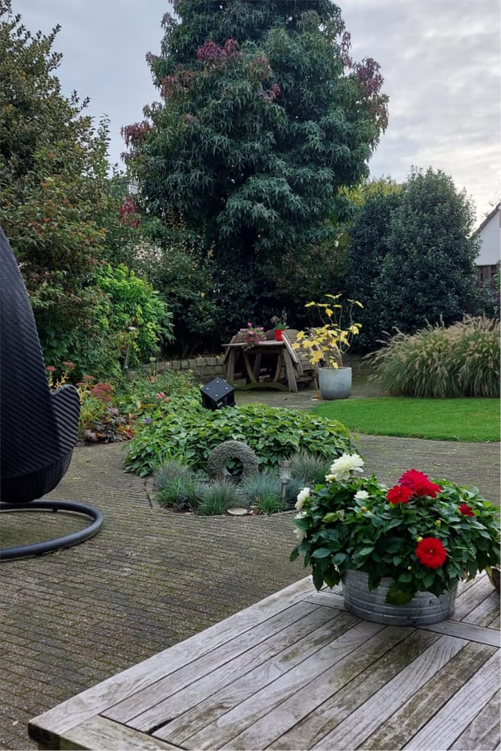 Foto 49 van Posteleinveld 2