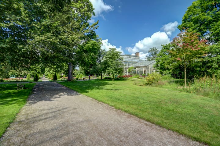 Foto 26 van Noorderstraat 8