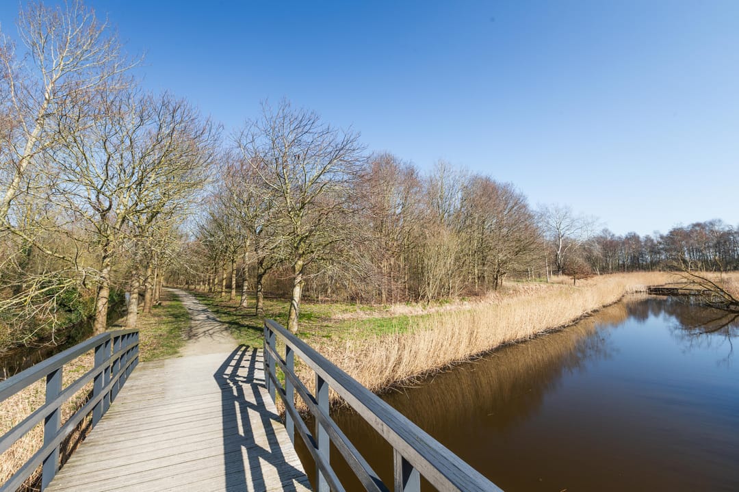 Foto 53 van Nijverheidsweg 22