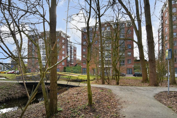 Foto 34 van Via Verdi 65