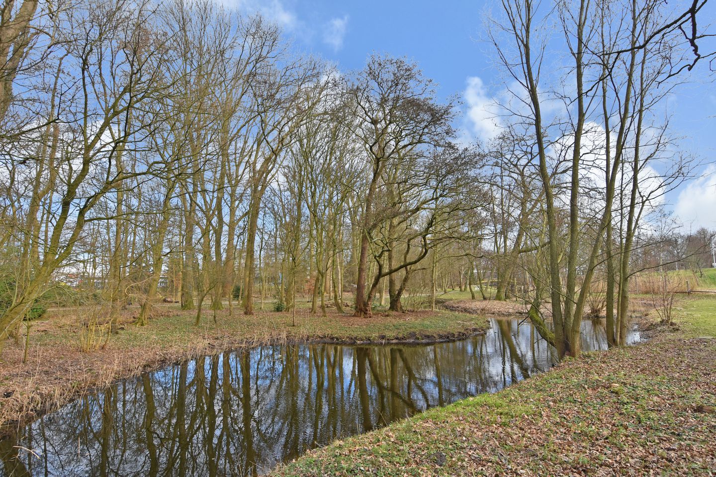 Photo 35 of Via Verdi 65