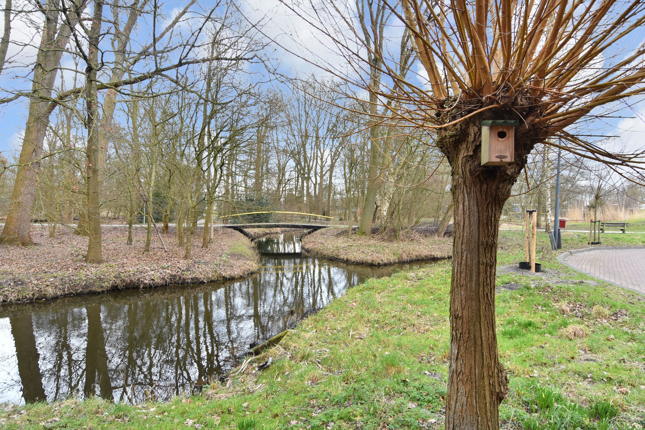 Photo 36 of Via Verdi 65