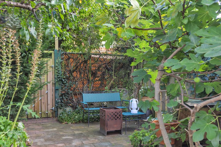 Foto 24 van C. Smeenkstraat 59