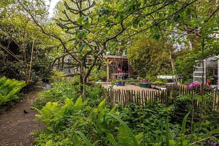 Foto 25 van Lagedijk 57