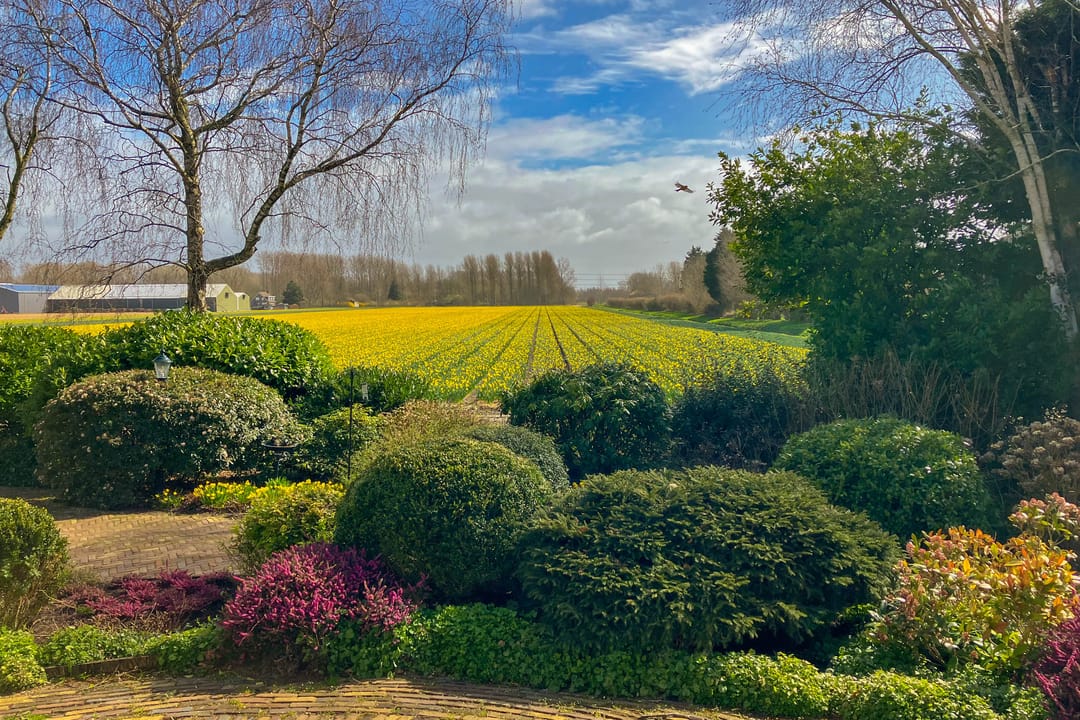 Photo 37 of Cruquiusdijk 141