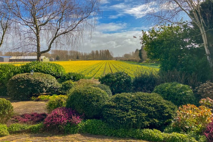 Photo 37 of Cruquiusdijk 141