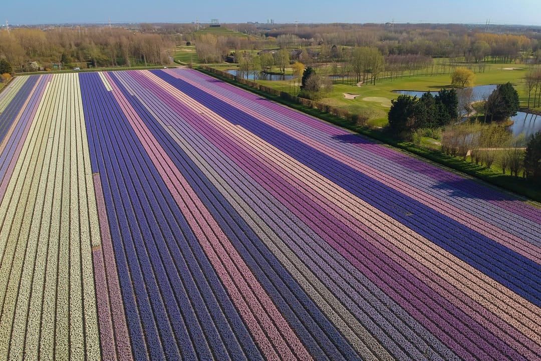 Photo 38 of Cruquiusdijk 141