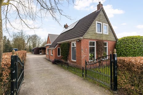 undefined main image