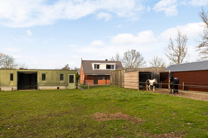 Photo 34 of Trekwei 5