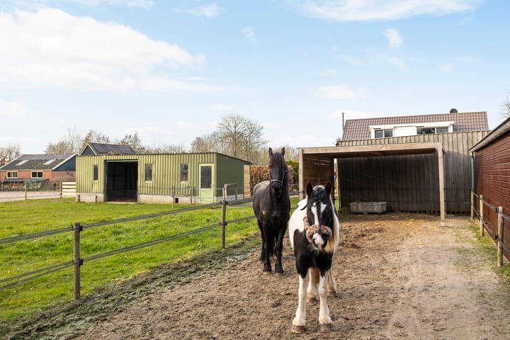 Photo 35 of Trekwei 5