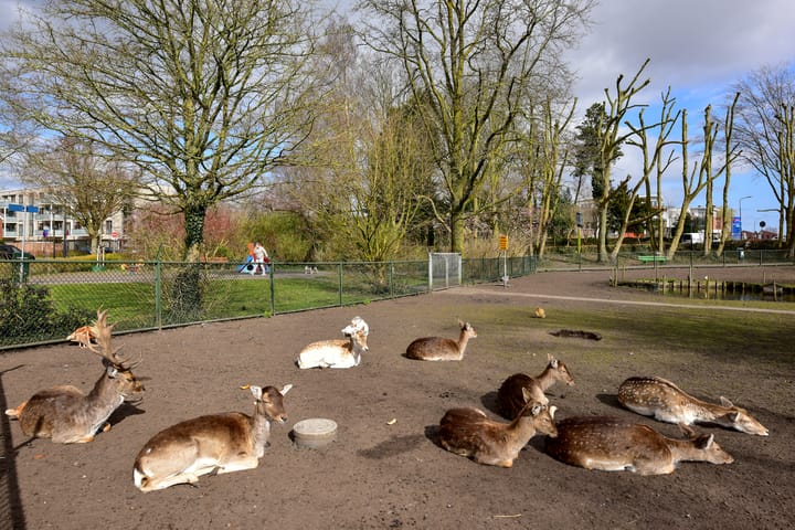 Foto 28 van Wipmolen 46