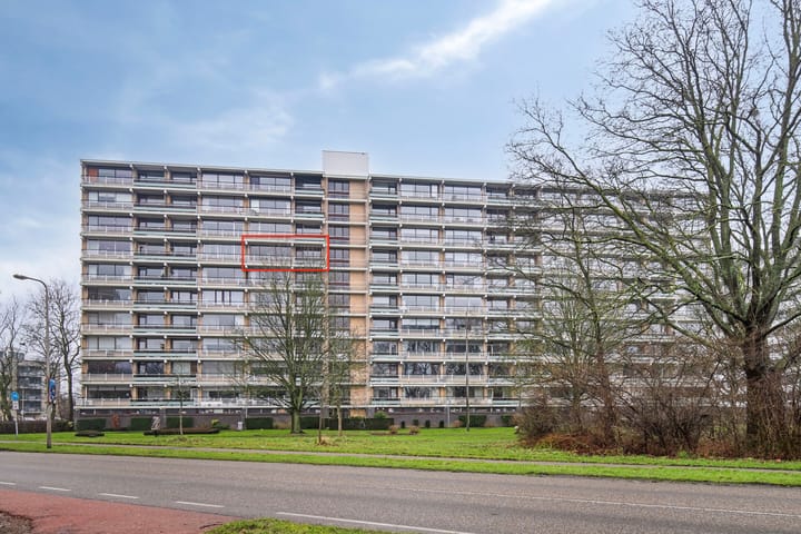 Foto 2 van Seringenplantsoen 539