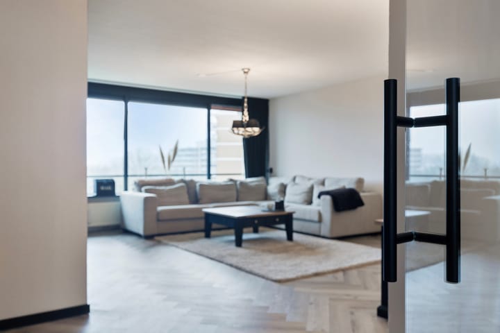 Foto 3 van Seringenplantsoen 539