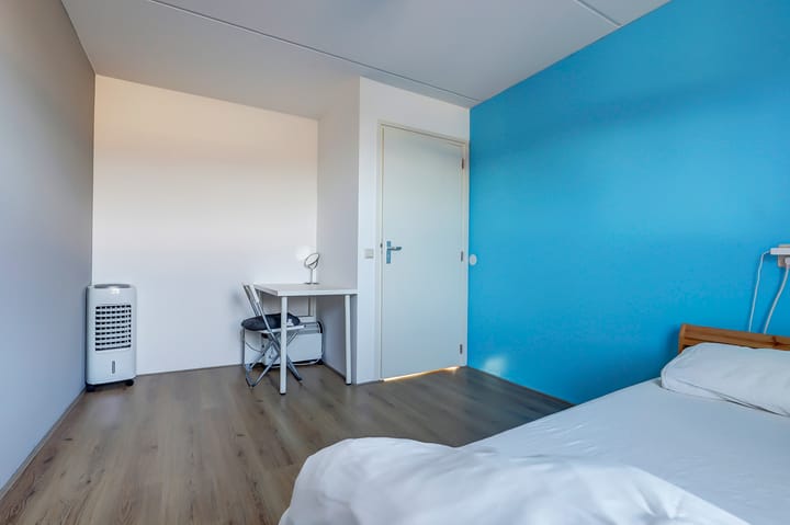 Foto 15 van Lavasdonk 116