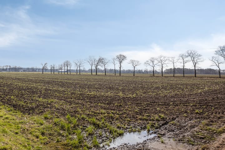 Photo 28 of Het Brevier 25