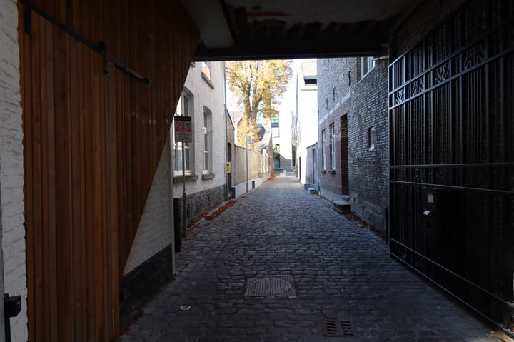 Foto 7 van Looiershof 10-A