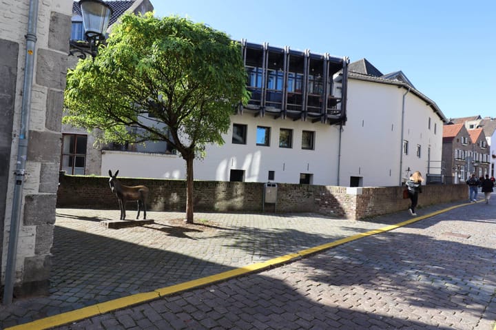 Foto 30 van Looiershof 10-A