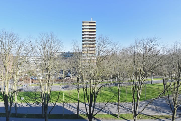 Foto 2 van Roland Holstlaan 1179