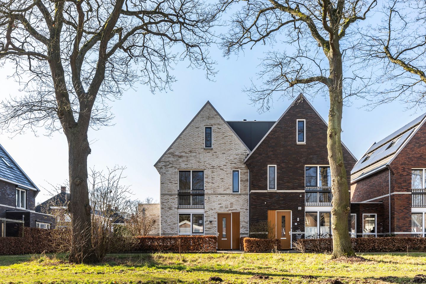 Foto 1 van Hermelijn 67