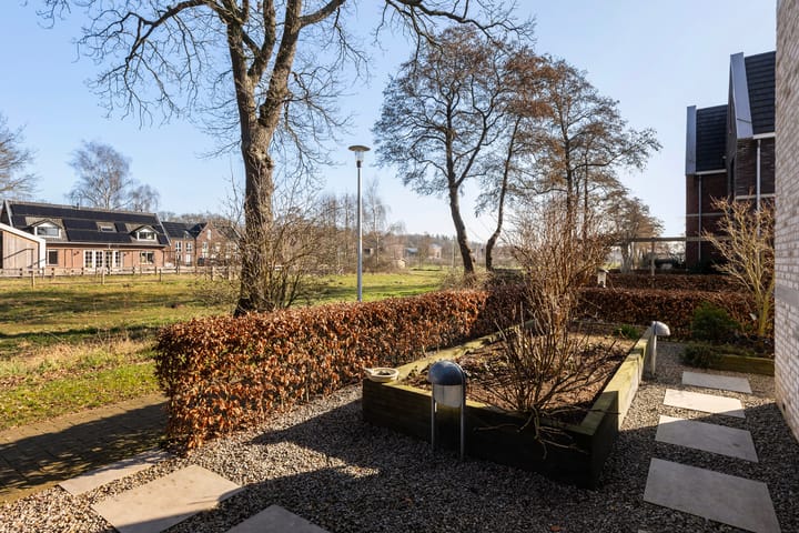 Foto 5 van Hermelijn 67