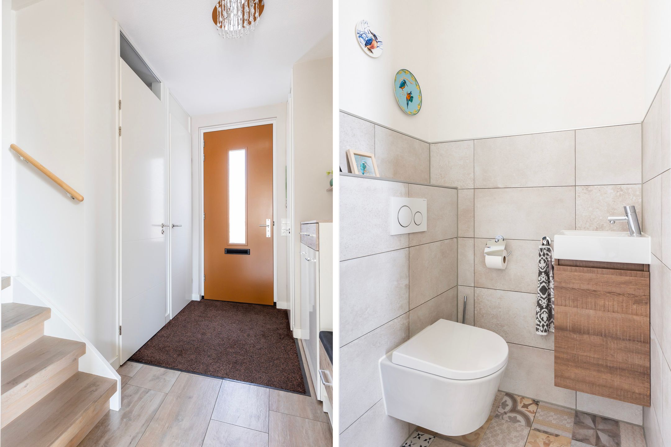 Foto 6 van Hermelijn 67