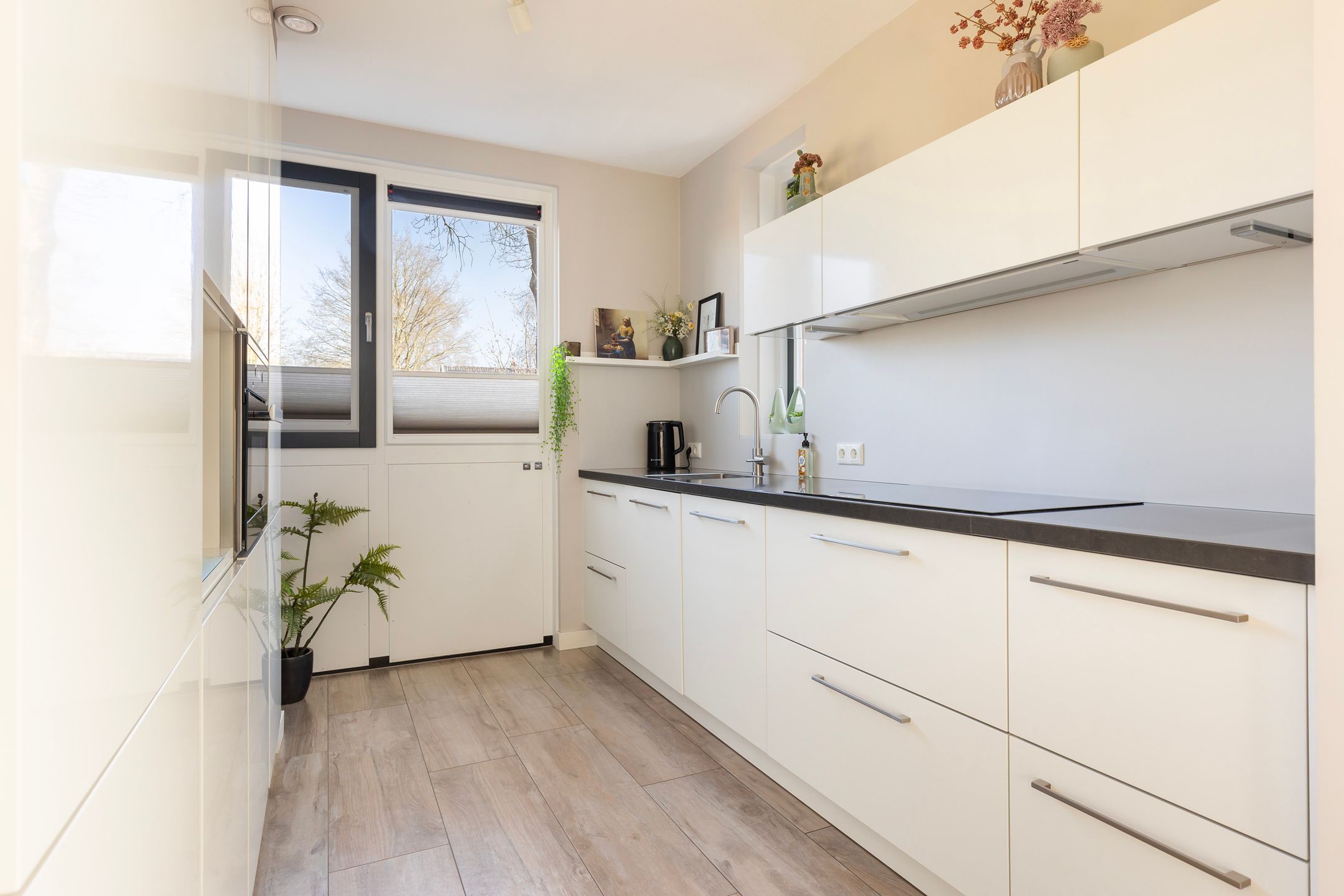 Foto 12 van Hermelijn 67