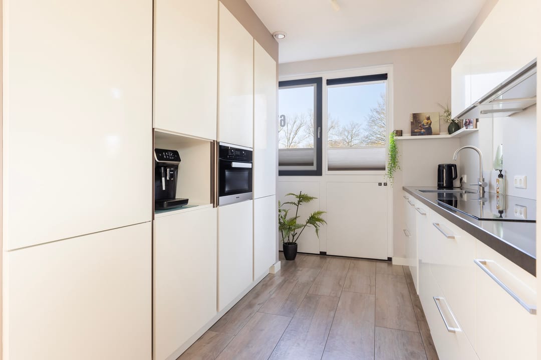 Foto 13 van Hermelijn 67