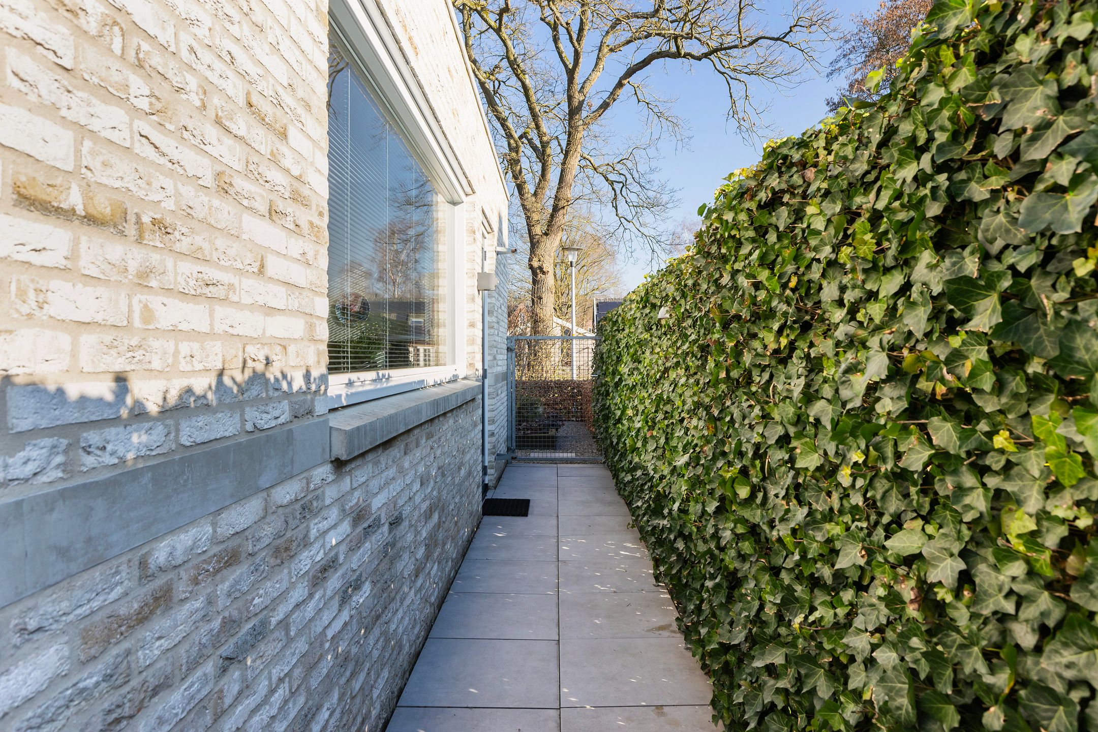 Foto 33 van Hermelijn 67