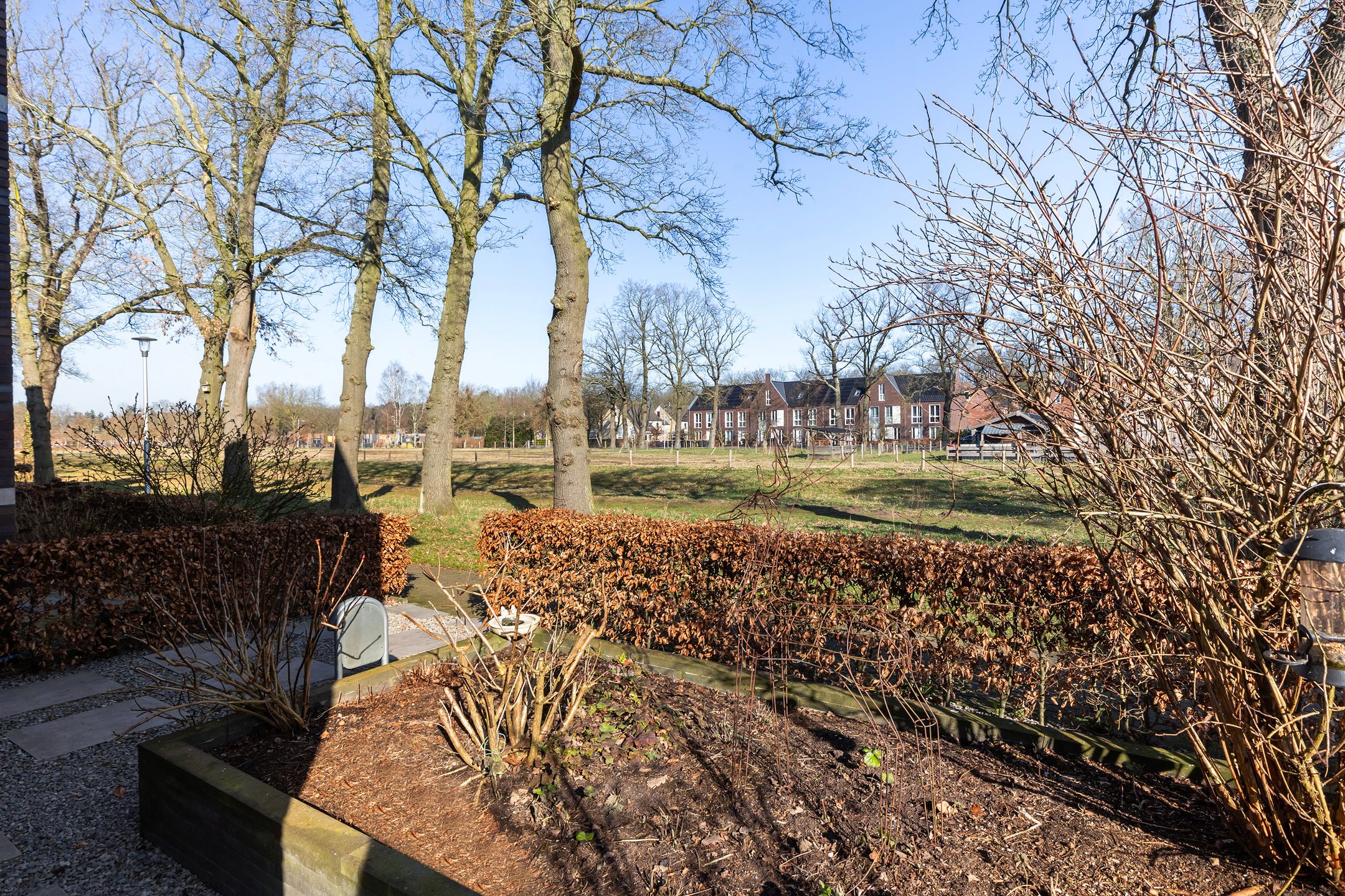 Foto 36 van Hermelijn 67