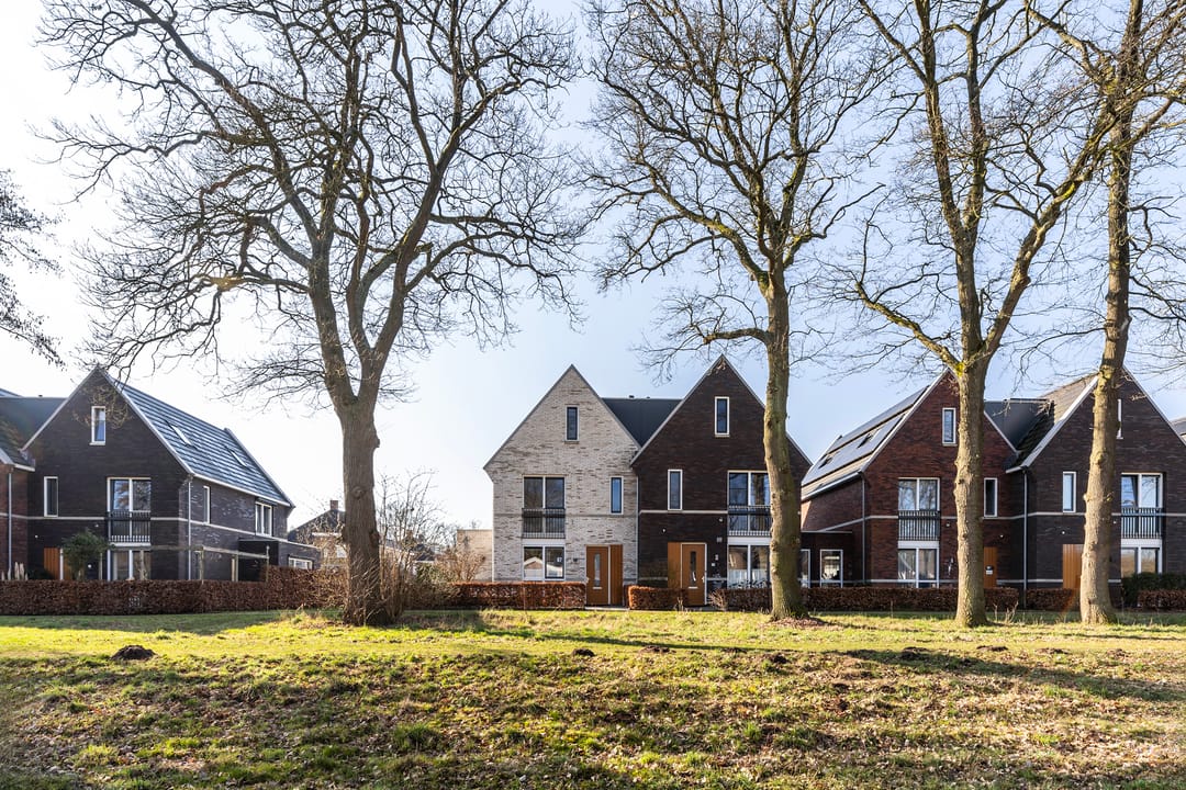 Foto 37 van Hermelijn 67