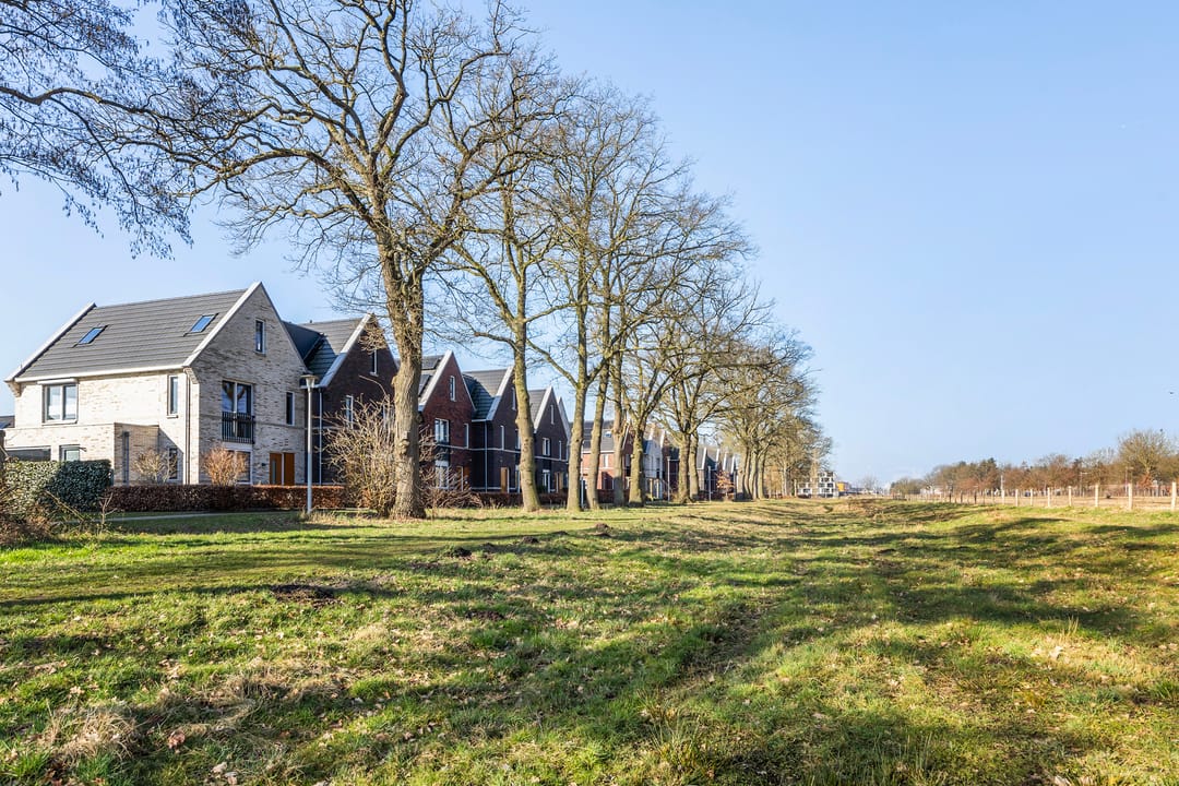 Foto 38 van Hermelijn 67