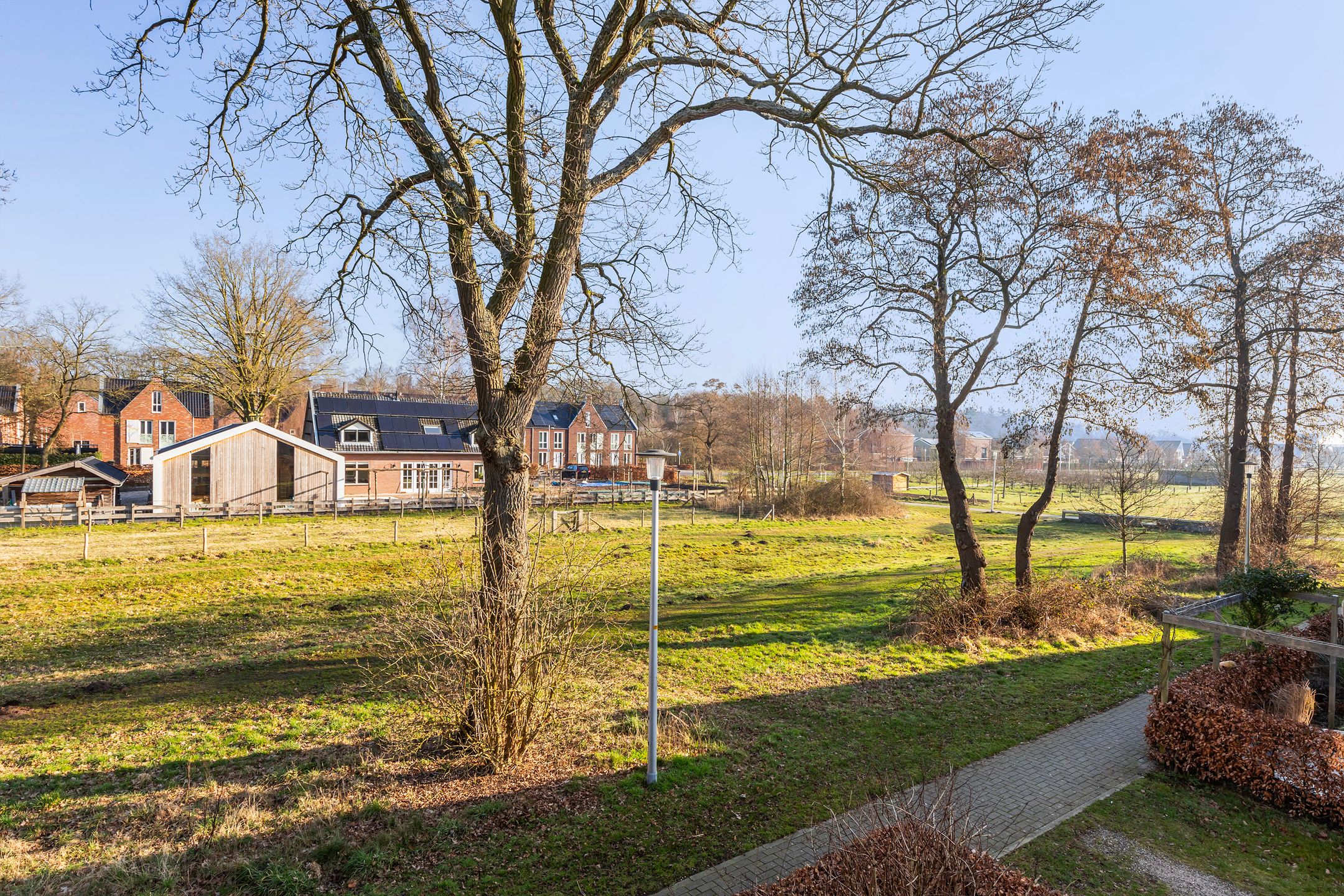 Foto 39 van Hermelijn 67