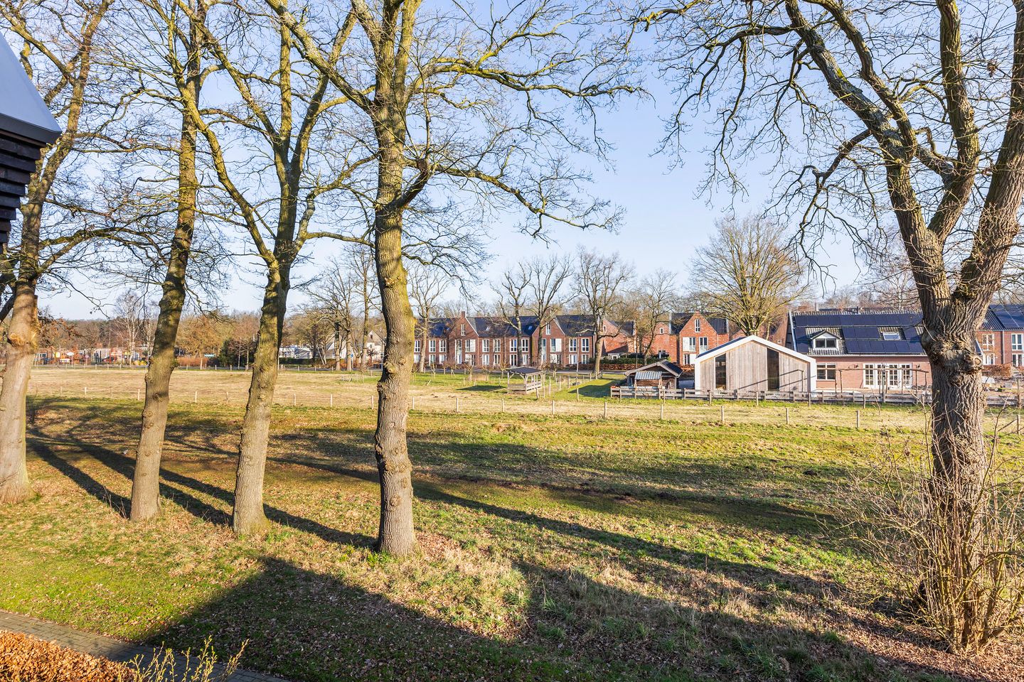 Foto 40 van Hermelijn 67