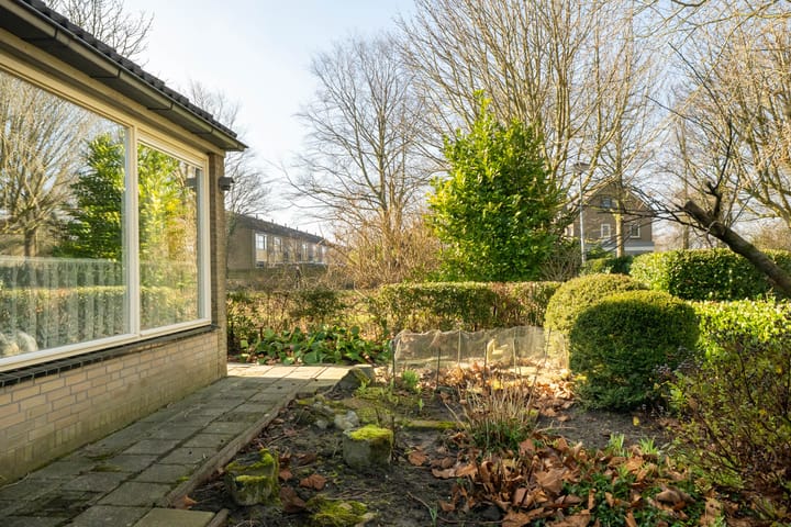 Foto 7 van Schoener 31