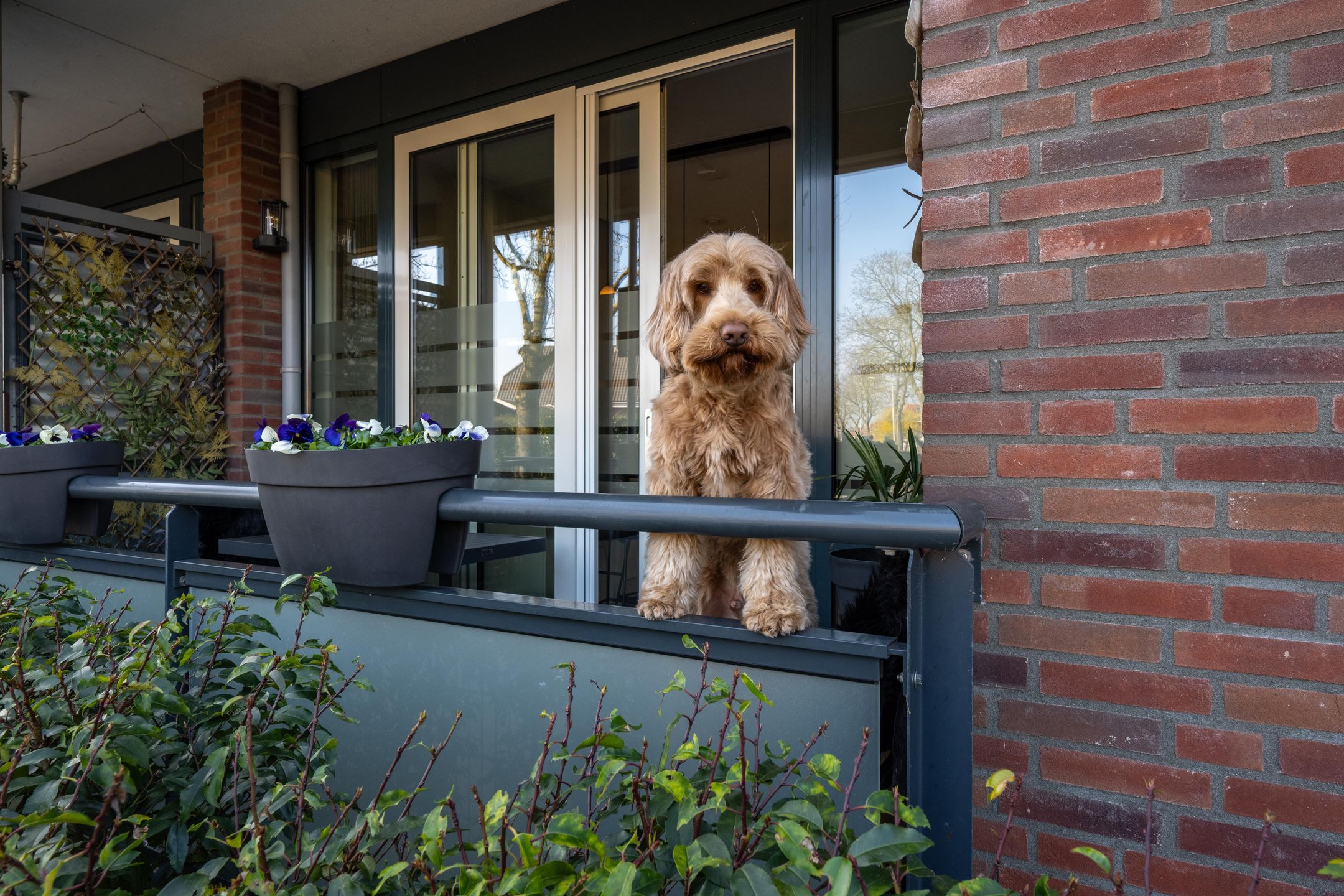 Foto 3 van Meeslaan 2-05