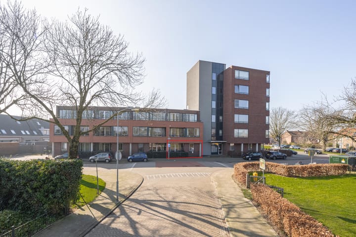 Foto 4 van Meeslaan 2-05