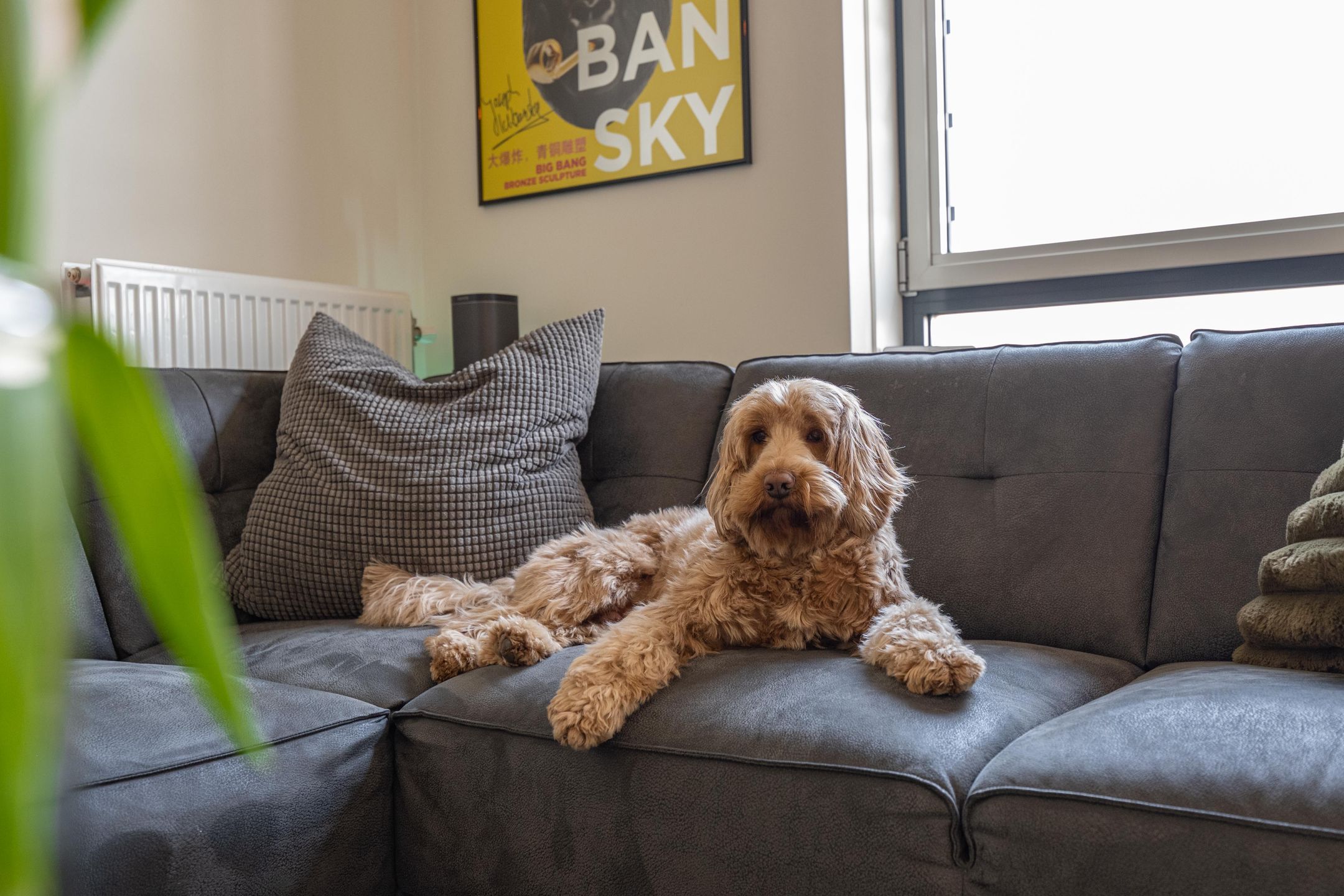 Foto 21 van Meeslaan 2-05