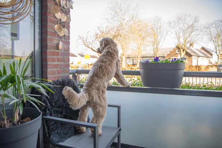 Foto 28 van Meeslaan 2-05