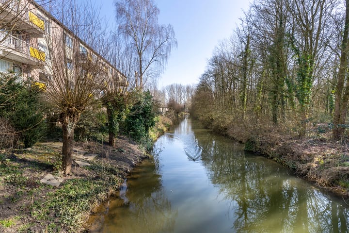 Foto 42 van Filipijnen 279