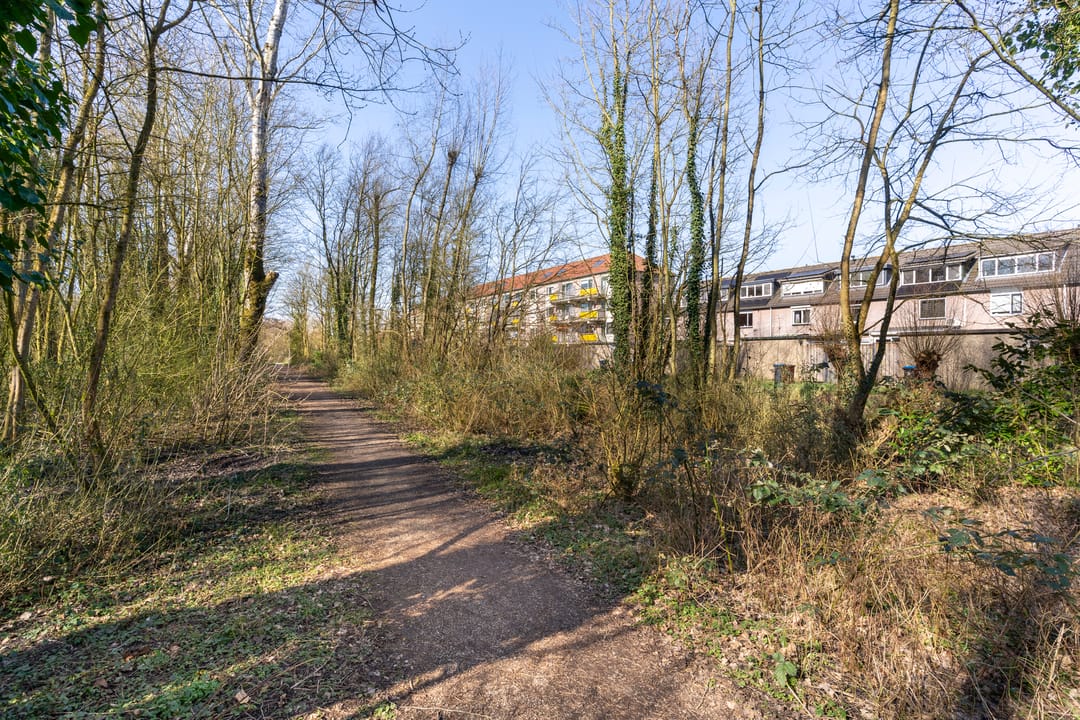 Foto 43 van Filipijnen 279