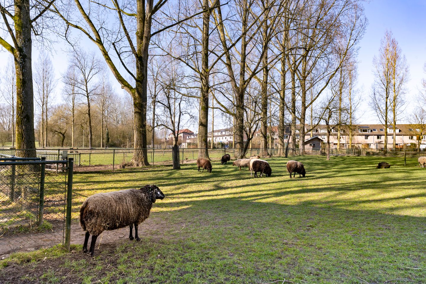 Foto 50 van Filipijnen 279