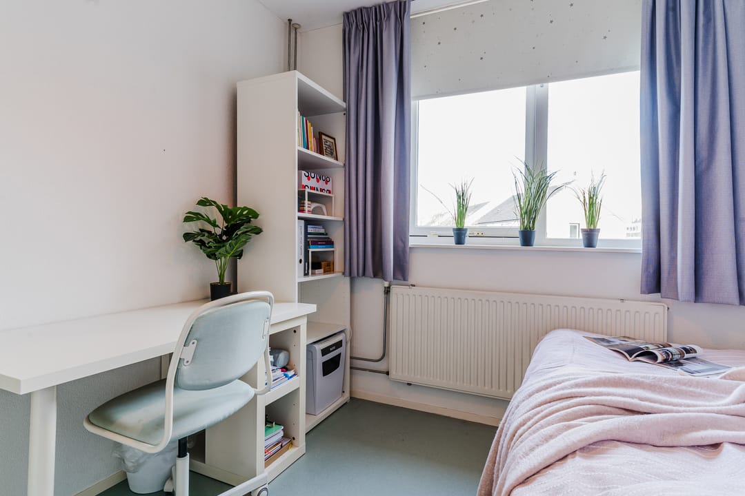 Photo 22 of Het Welvaren 9