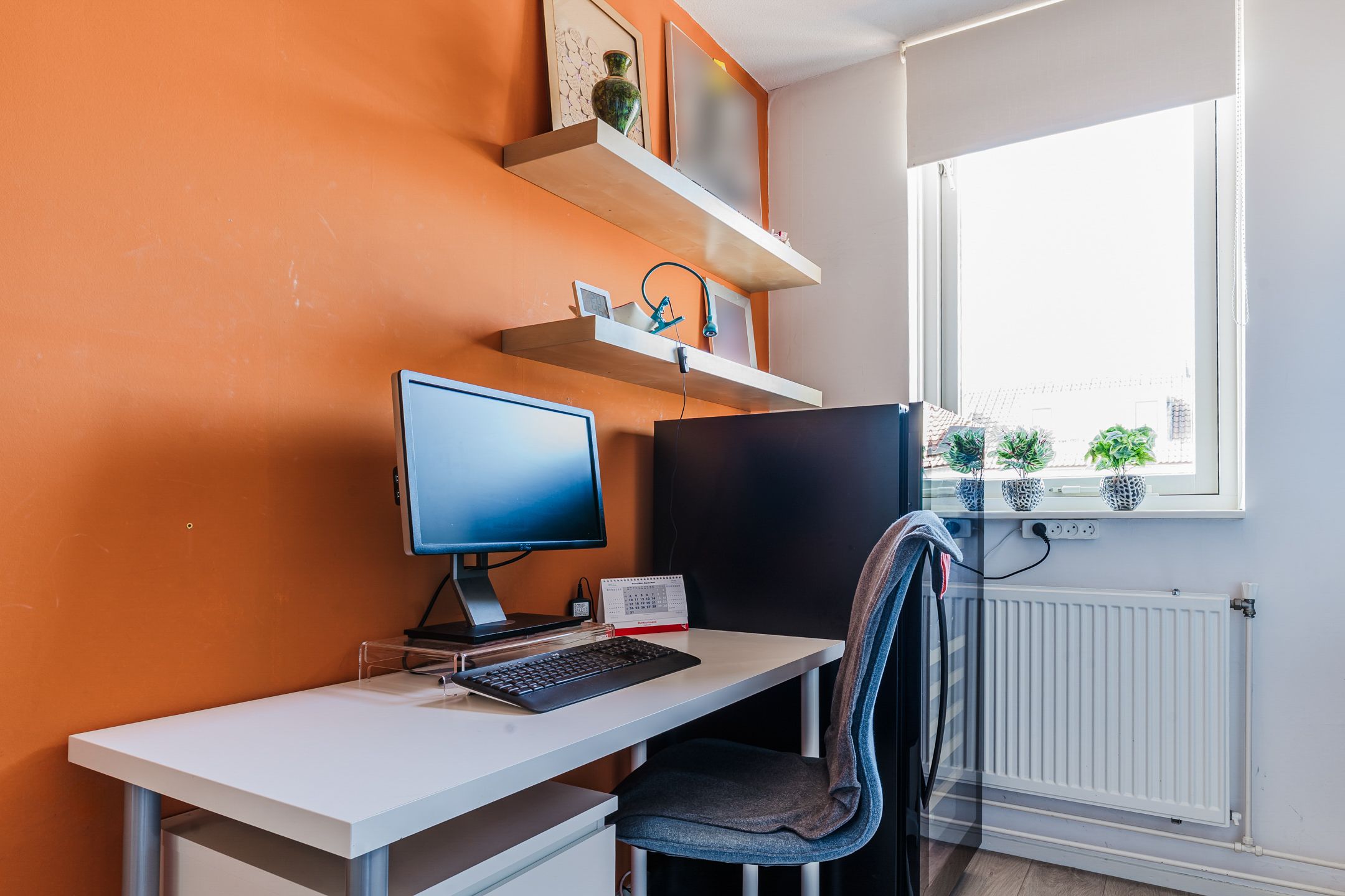 Photo 24 of Het Welvaren 9