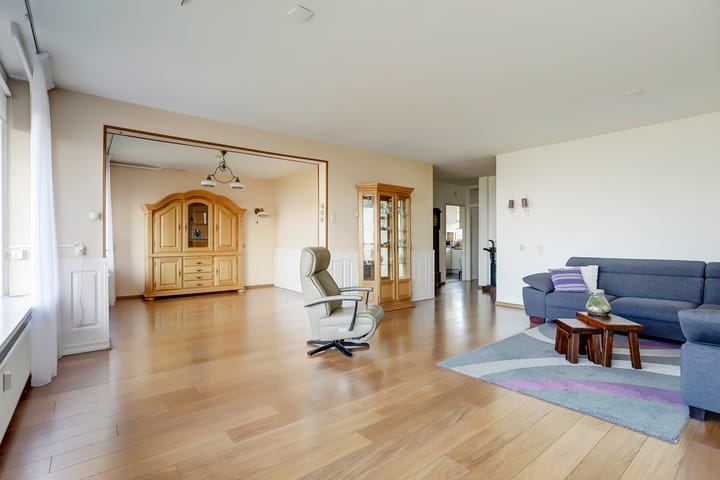 Foto 2 van Seringenplantsoen 93